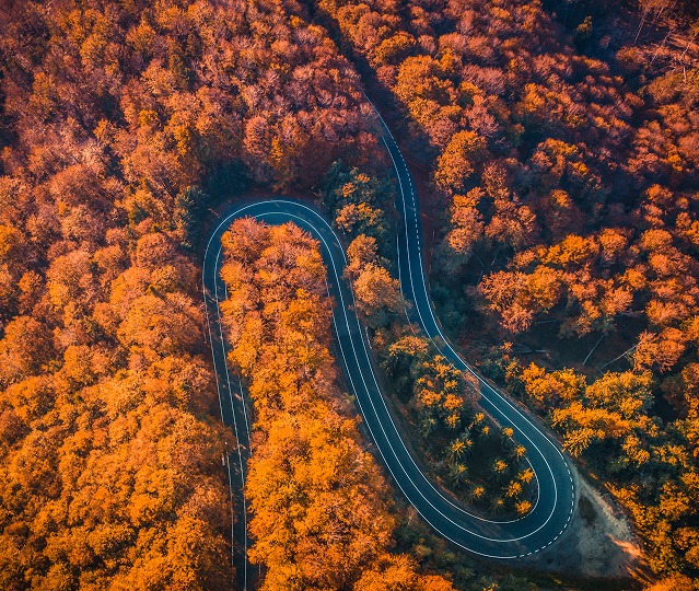 data-ai image